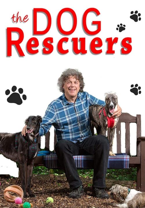 The Dog Rescuers with Alan Davies Season 2 poster