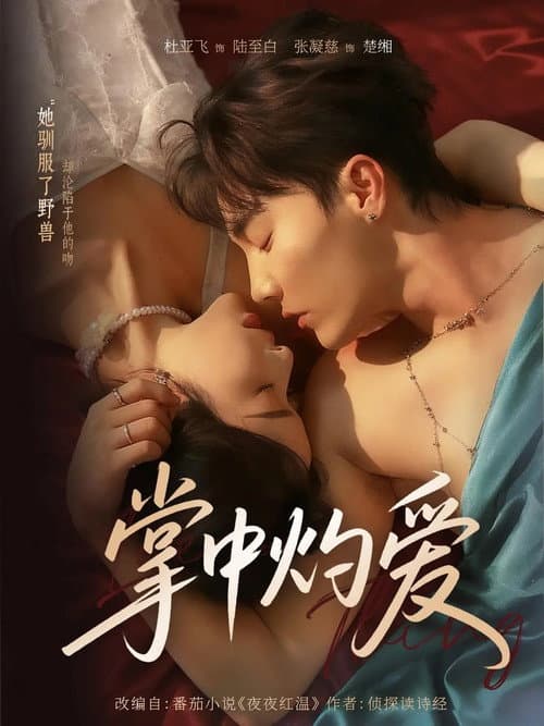 掌中灼爱 Season 1 poster