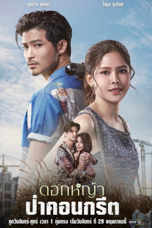 A Wildflower in the City Season 1 poster