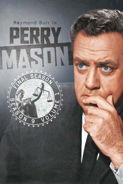 Perry Mason Season 9 poster