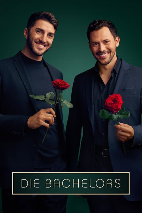 Der Bachelor Season 14 poster