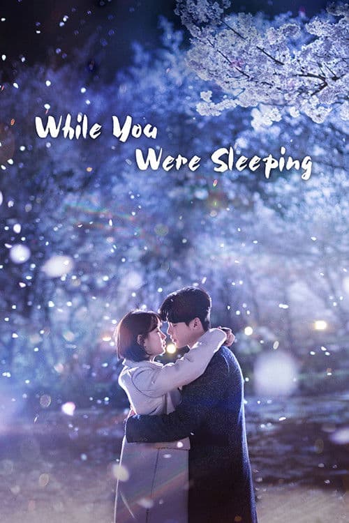 While You Were Sleeping Season 1 poster