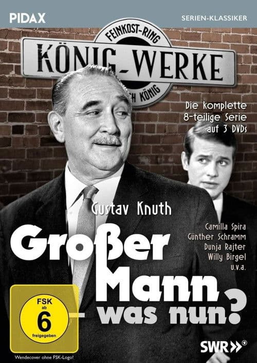 Großer Mann, was nun? Season 1 poster