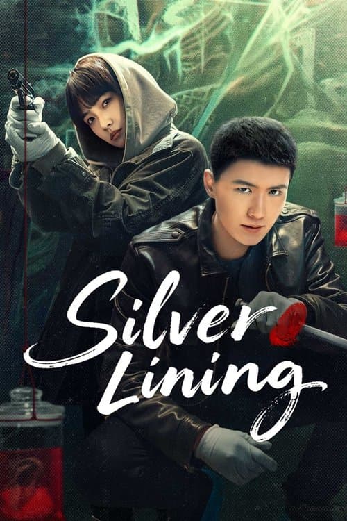 Silver Lining Season 1 poster