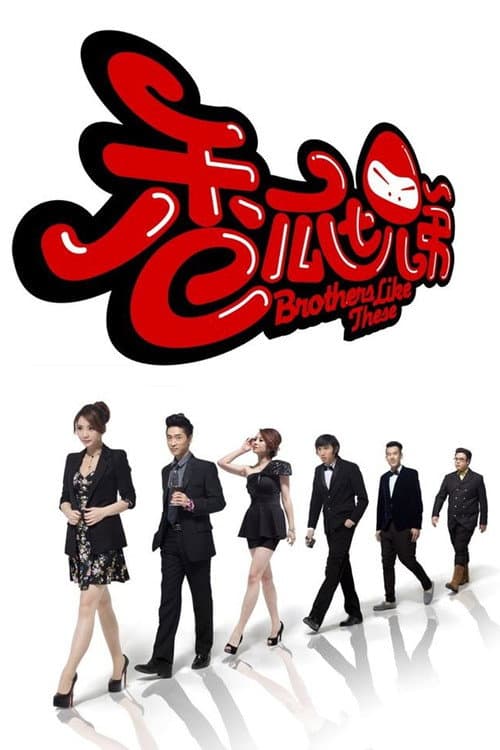 Brothers Like These Season 1 poster