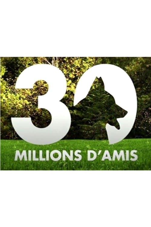 30 millions d'amis Season 2 poster