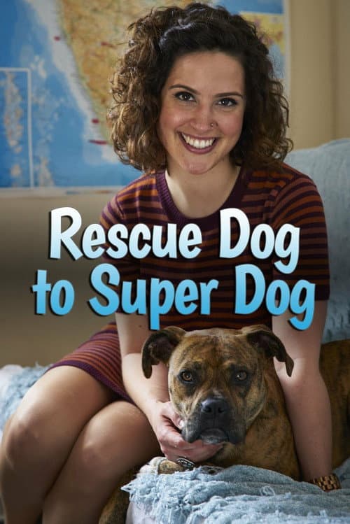 Rescue Dog to Super Dog Season 1 poster