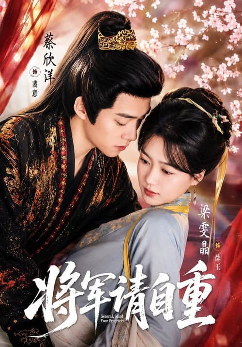 将军请自重 Season 1 poster