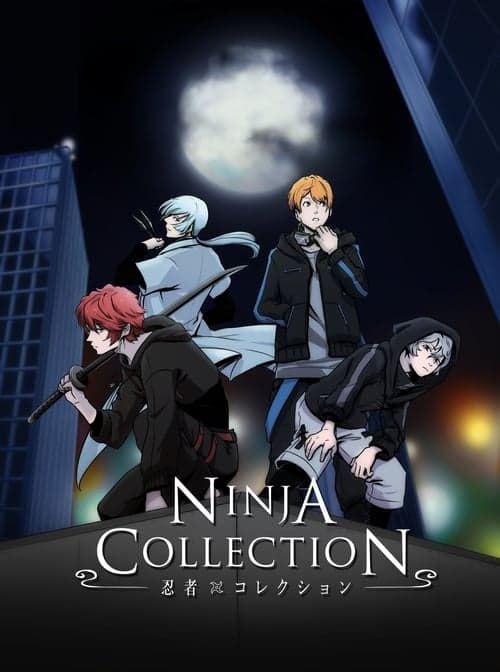 Ninja Collection Season 1 poster