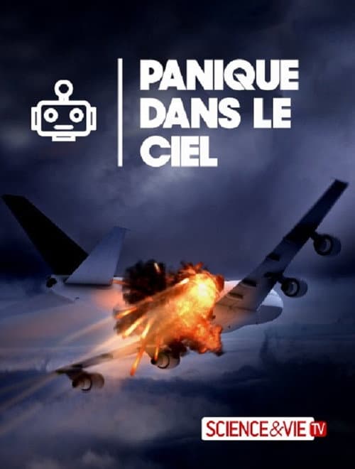 Planes Gone Viral Season 1 poster