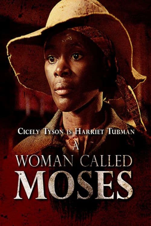 A Woman Called Moses Miniseries poster