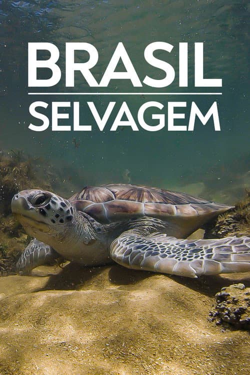 Brazil Untamed Coastline of Brazil poster