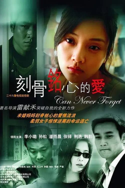 刻骨铭心的爱 Season 1 poster