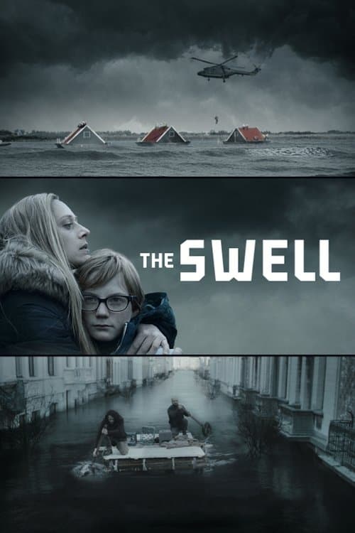The Swell Season 1 poster