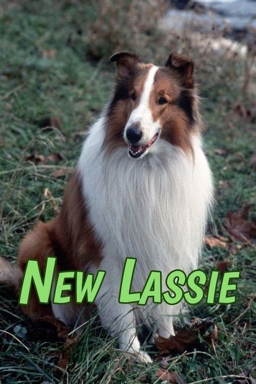The New Lassie Season 2 poster
