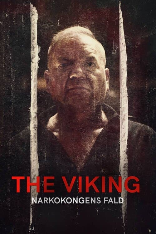 The Viking - Downfall of a Drug Lord Season 1 poster