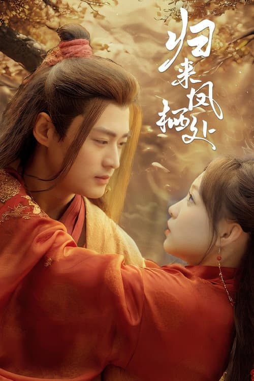 归来凤栖处 Season 1 poster