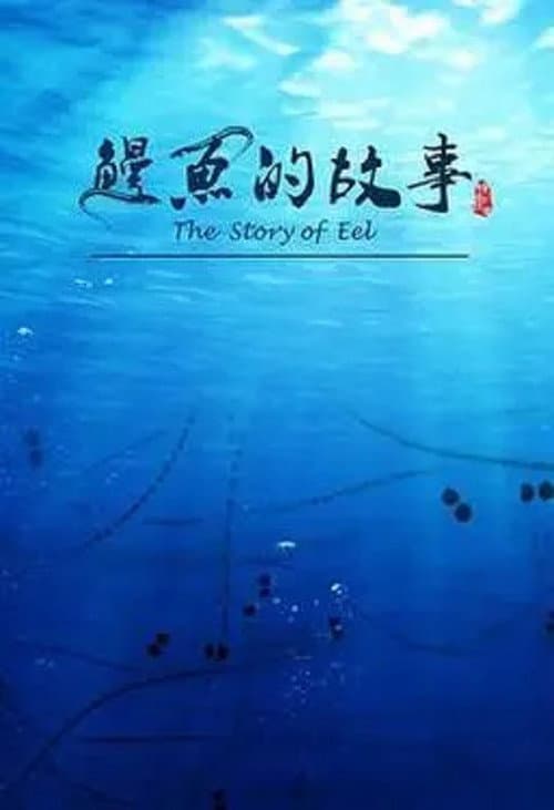 鳗鱼的故事 Season 1 poster