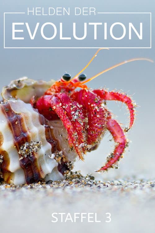 Just Animals Season 3 poster