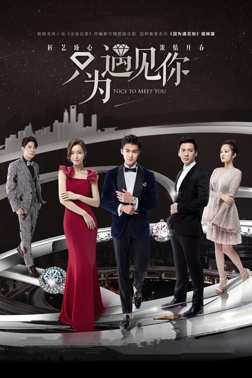 Nice To Meet You Season 1 poster