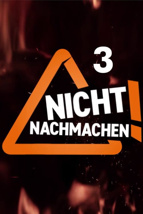 Never Ever Do This at Home! Season 3 poster