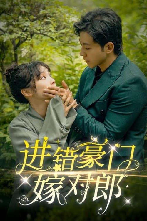 进错豪门嫁对郎 Season 1 poster