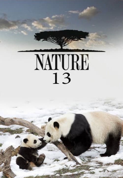 Nature Season 13 poster