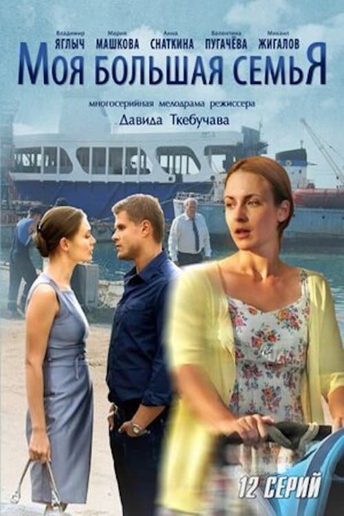 Моя большая семья Season 1 poster