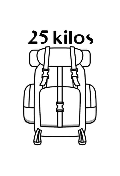 25 kilos : 3 jours pour vider son sac Season 1 poster