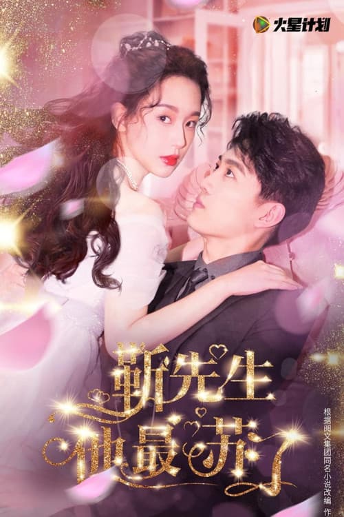 靳先生他最苏了 Season 1 poster