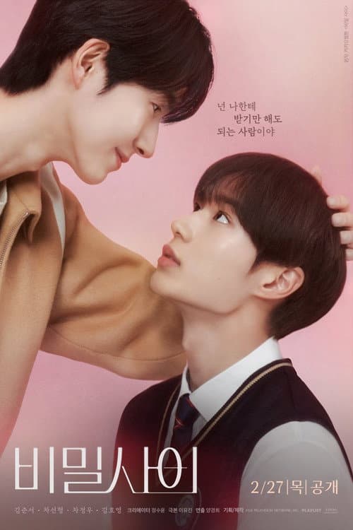 Secret Relationships Season 1 poster