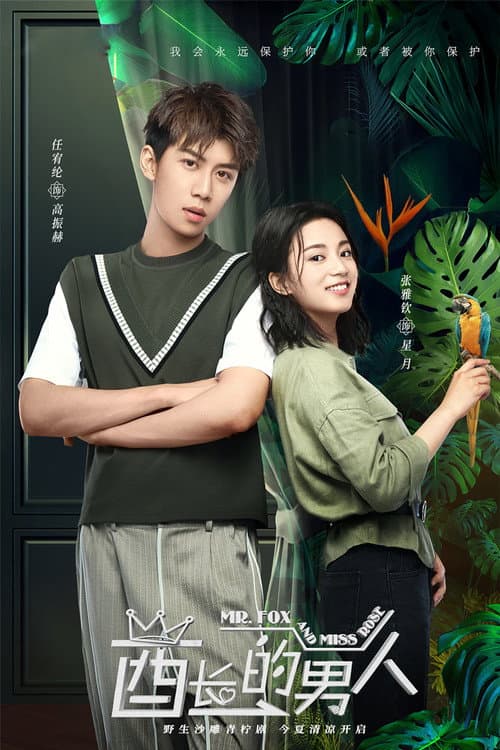 Mr. Fox and Miss Rose Season 1 poster