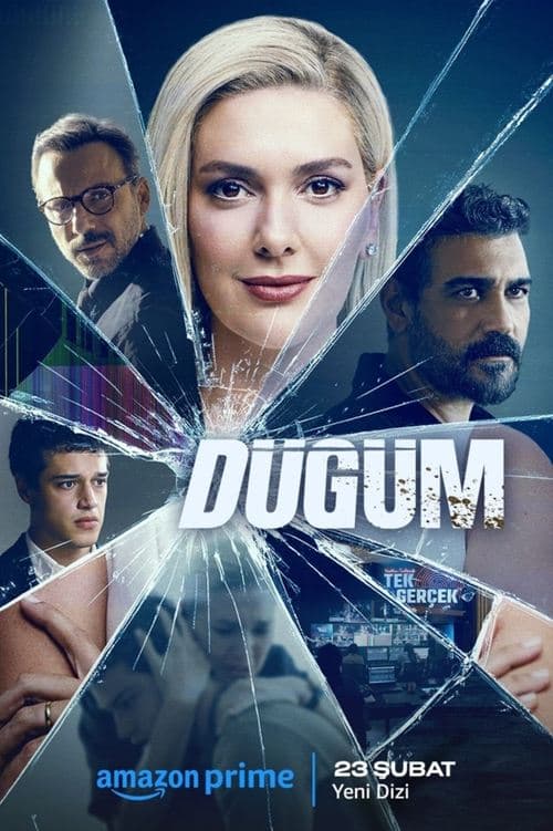 Dilemma Season 1 poster