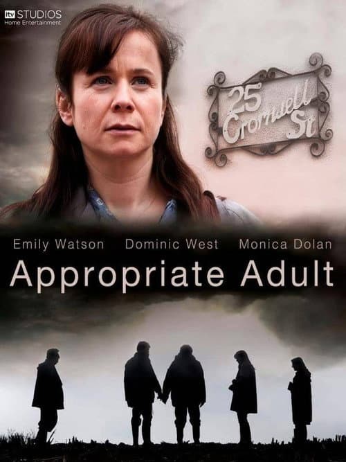 Appropriate Adult Season 1 poster