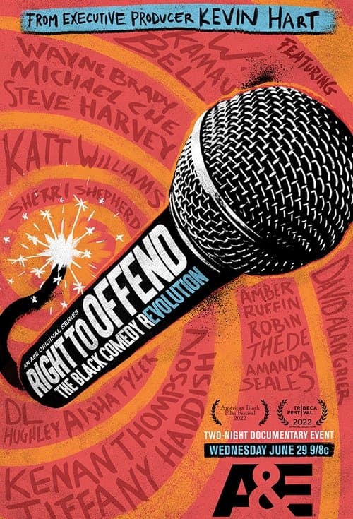 Right to Offend: The Black Comedy Revolution Season 1 poster