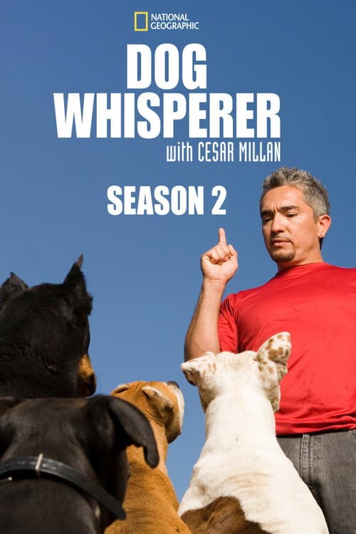 Dog Whisperer Season 2 poster