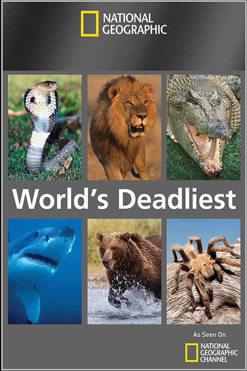 World's Deadliest Season 2 poster