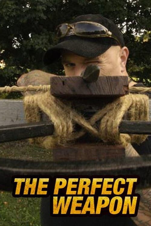 Perfect Weapon Season 1 poster