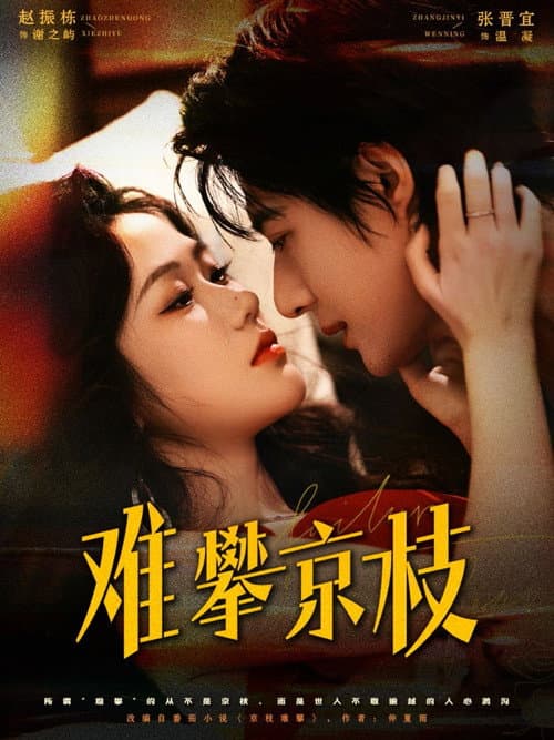 难攀京枝 Season 1 poster