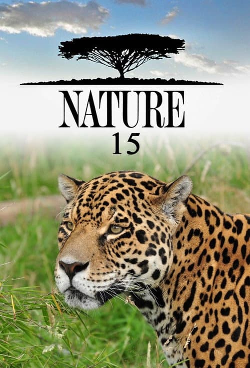 Nature Season 15 poster