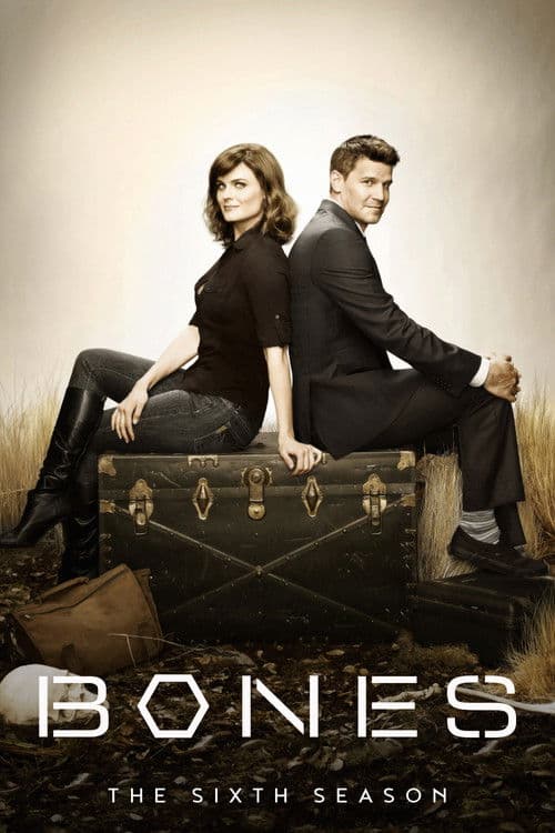 Bones Season 6 poster