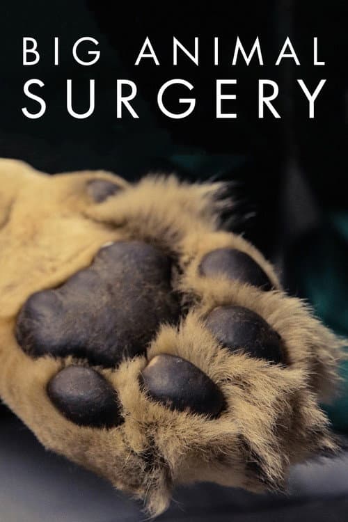 Big Animal Surgery Season 1 poster