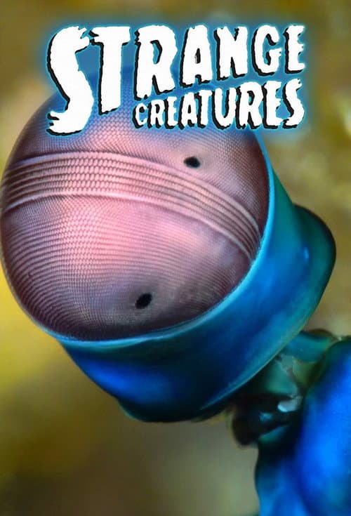 Strange Creatures Season 1 poster