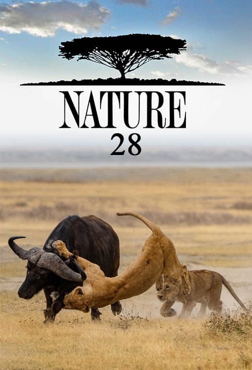 Nature Season 28 poster