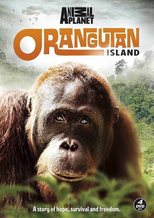 Orangutan Island Season 2 poster