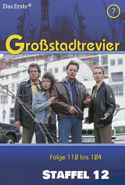 Großstadtrevier Season 12 poster