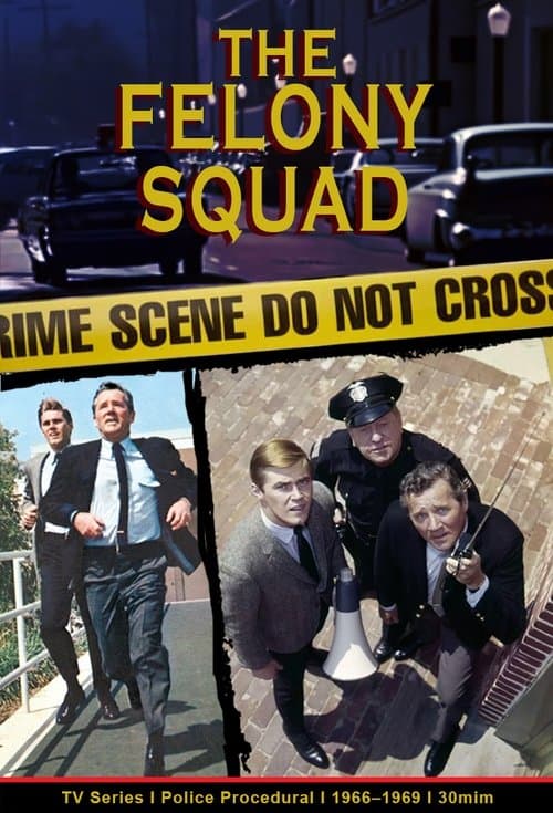 Felony Squad Season 2 poster
