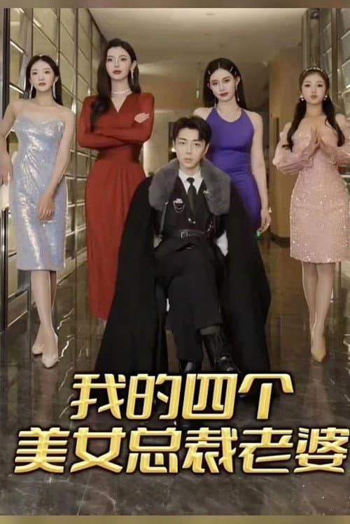 我的四个美女总裁老婆 Season 1 poster