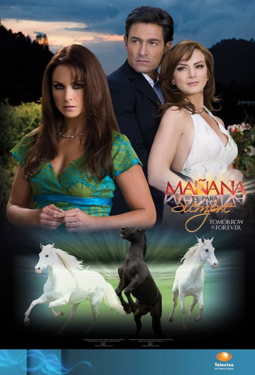 Tomorrow is forever Season 1 poster