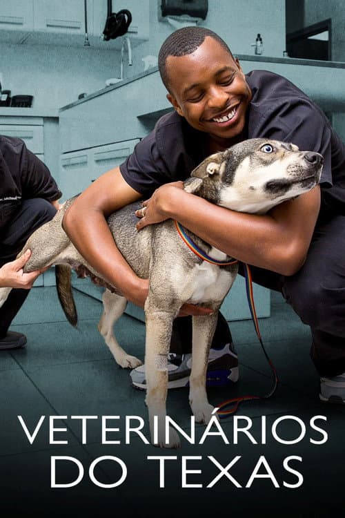 The Vet Life Season 3 poster
